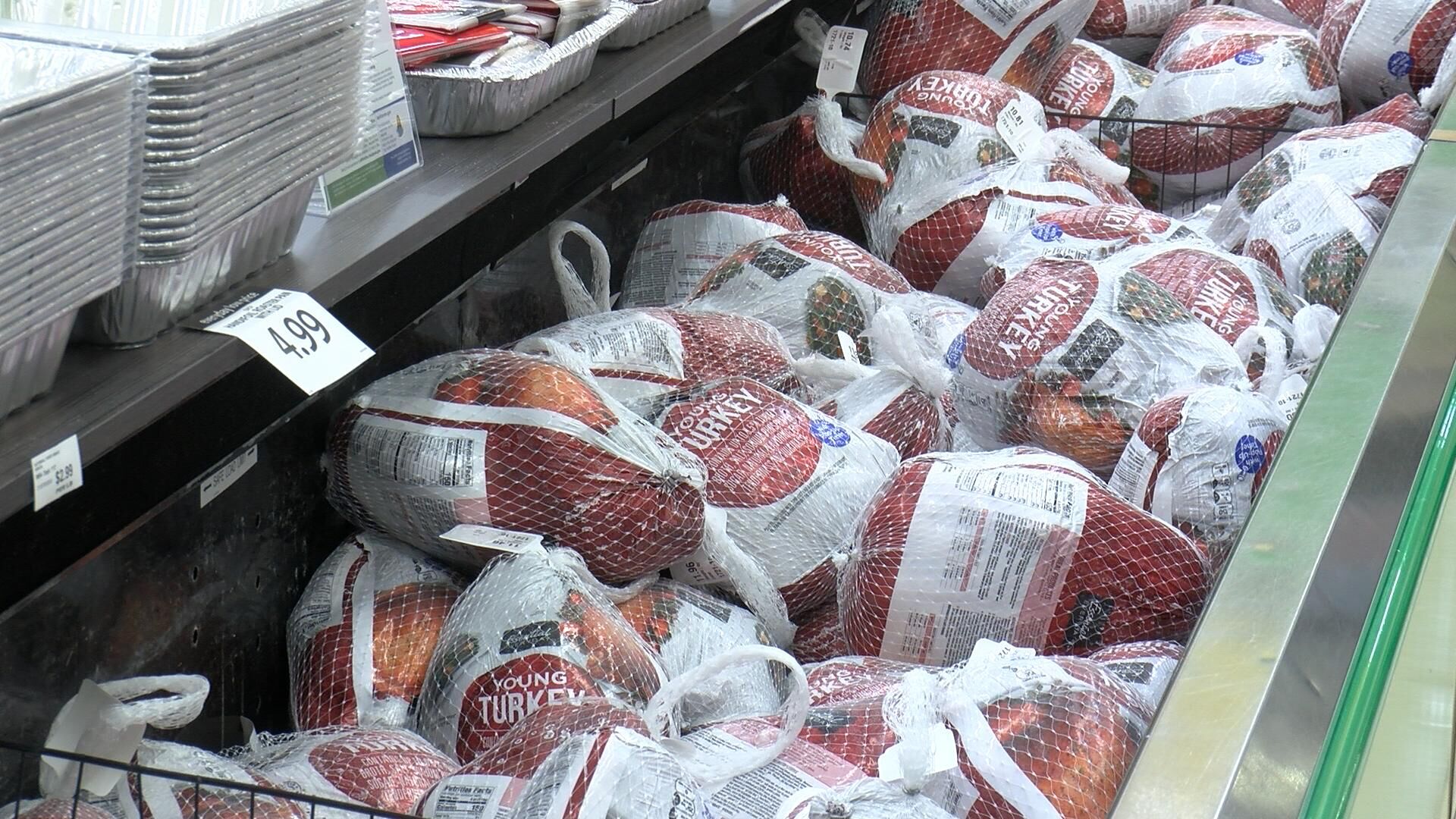 turkeys.jpg